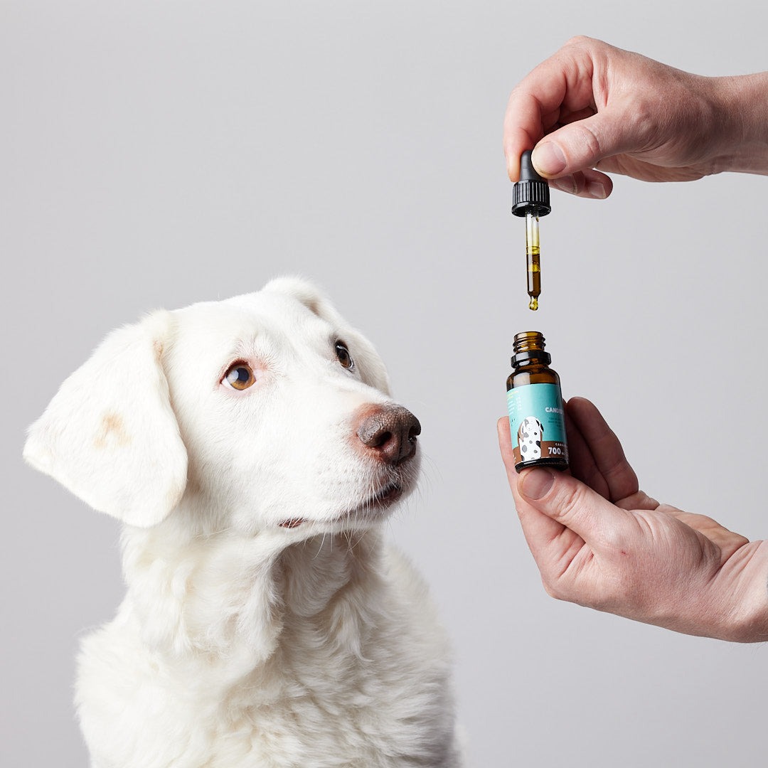 cbd for pets-Utah
