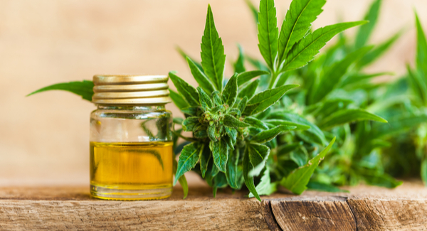 How Non-Organic CBD Oil Is Produced