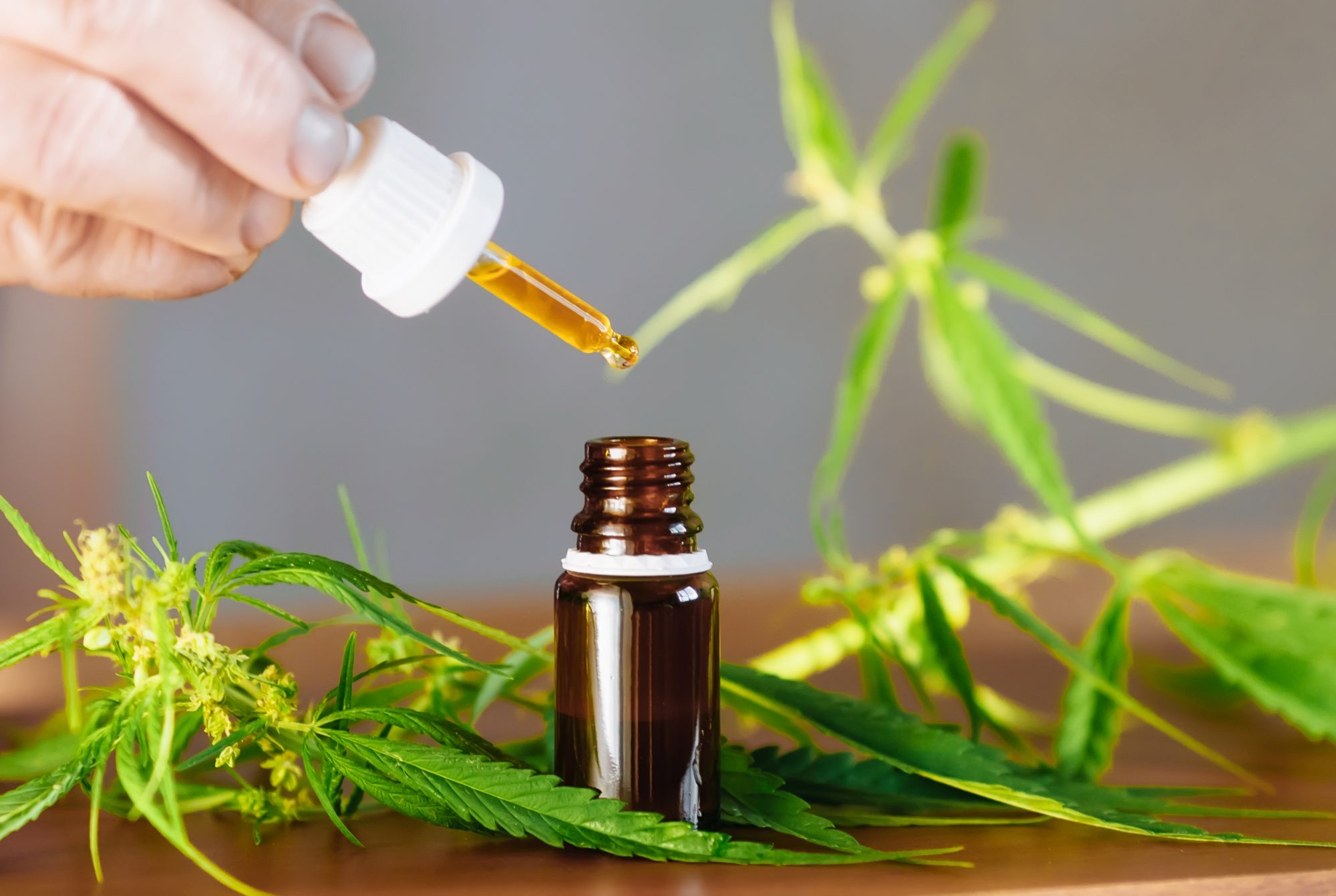 Organic vs Non-Organic CBD Oil: Which One Is Truly Worth Your Money?