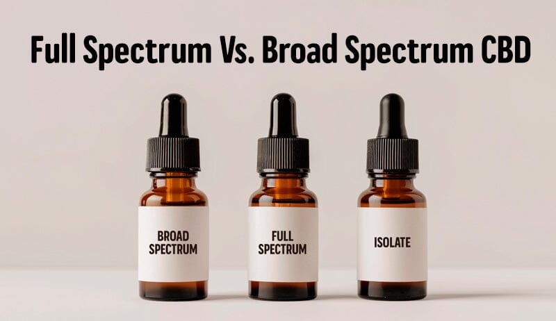 Full-Spectrum vs Broad-Spectrum vs CBD Isolate